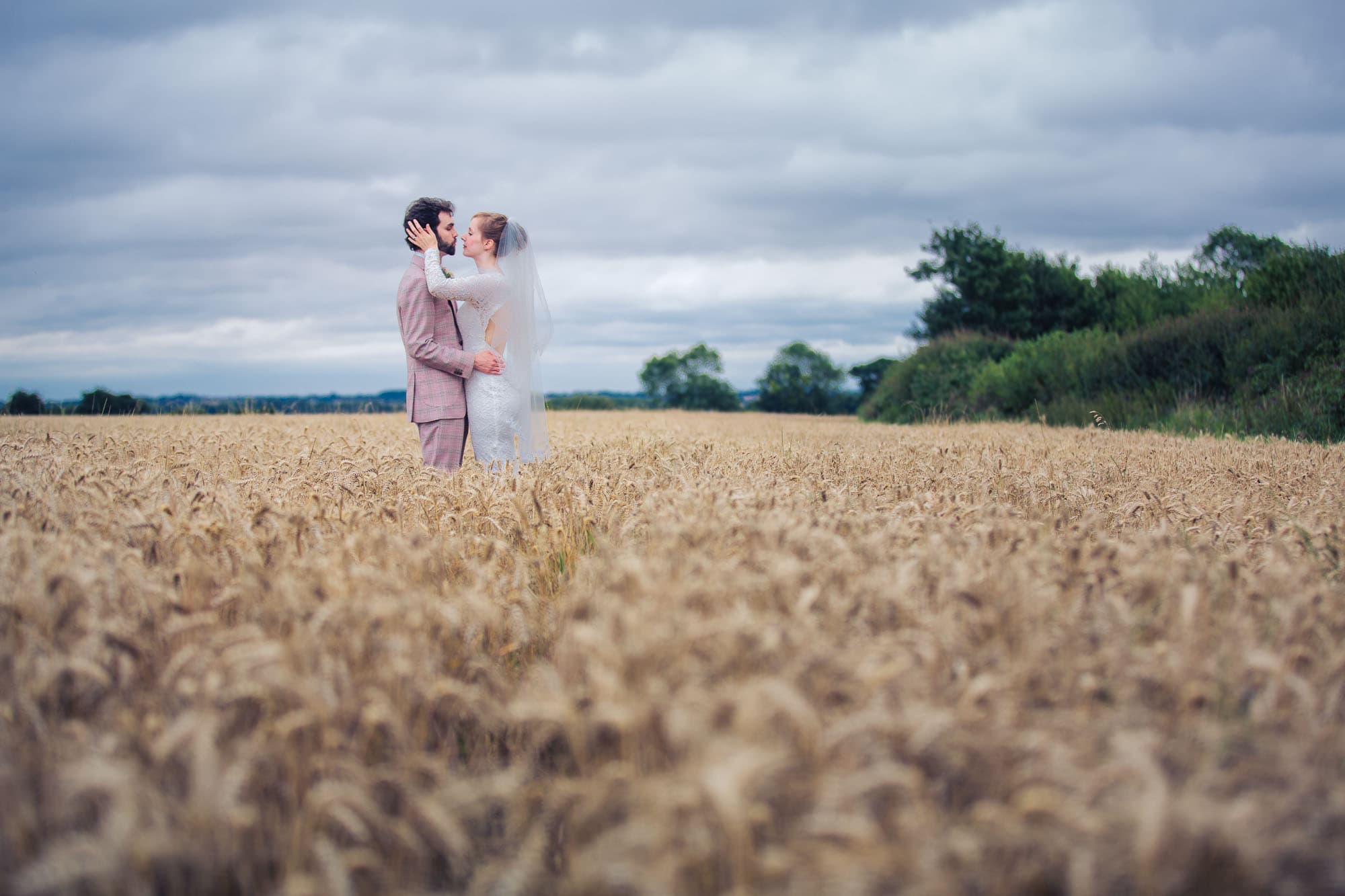 Home Romantic bride and groom in cornfield wedding photograph