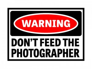 Don't feed the wedding photographer