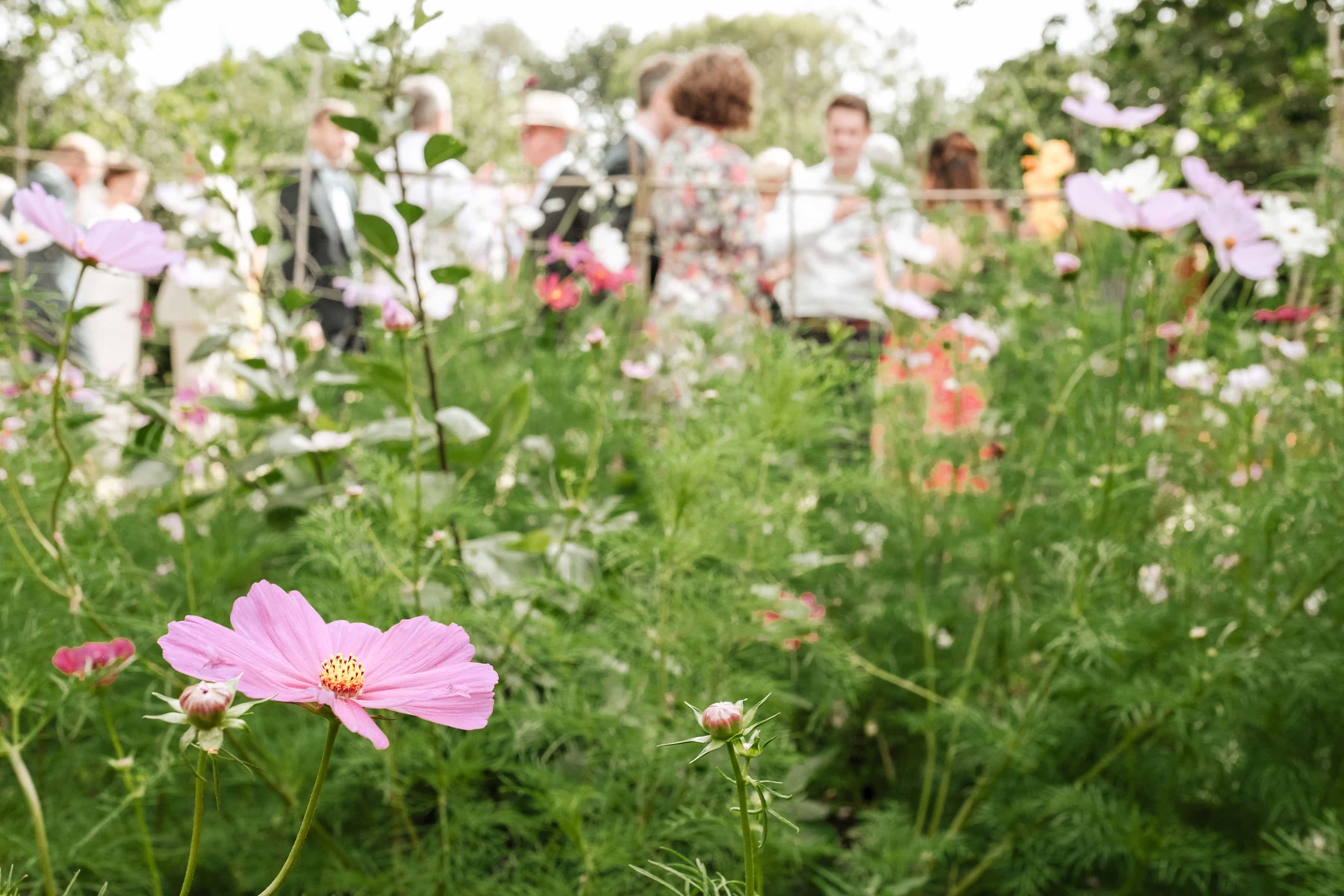 Garden wedding photographer